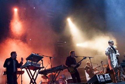 the wombats